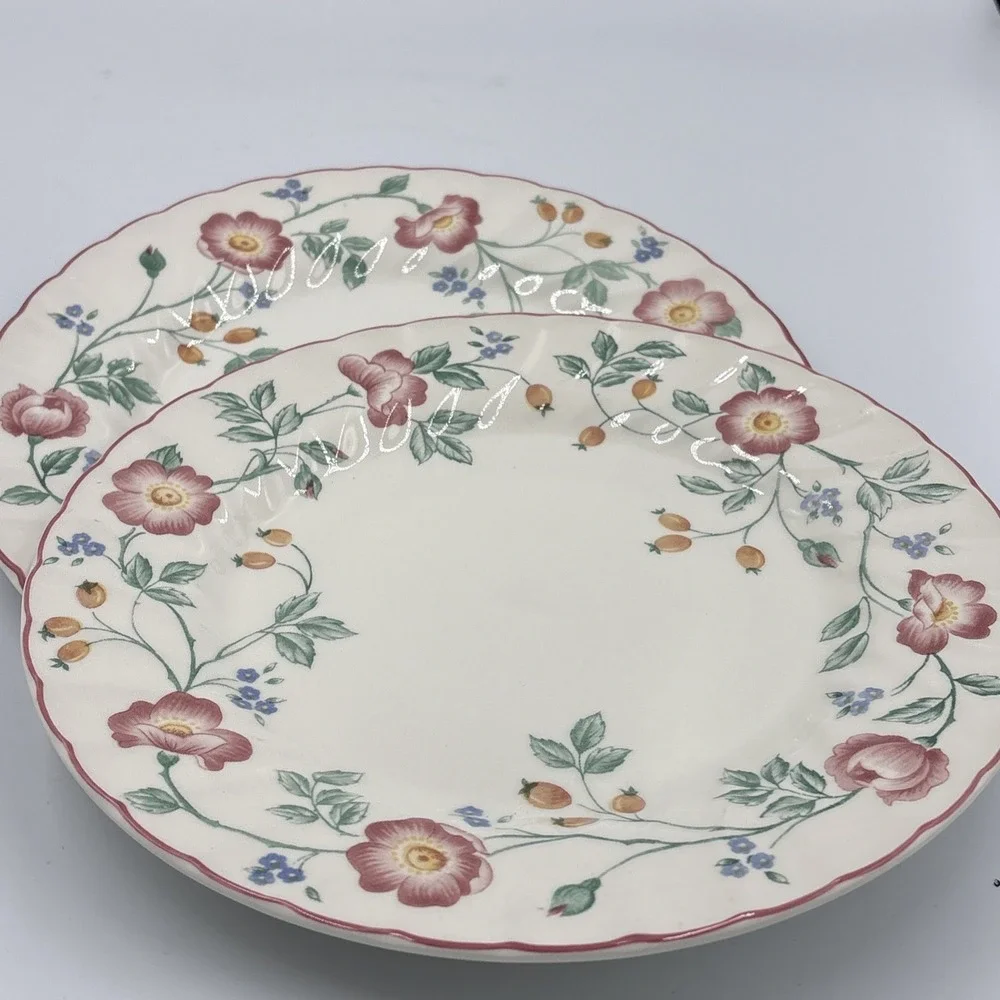 Churchill Staffordshire‎ Set of 2 Briar Rose Ironstone Floral 10